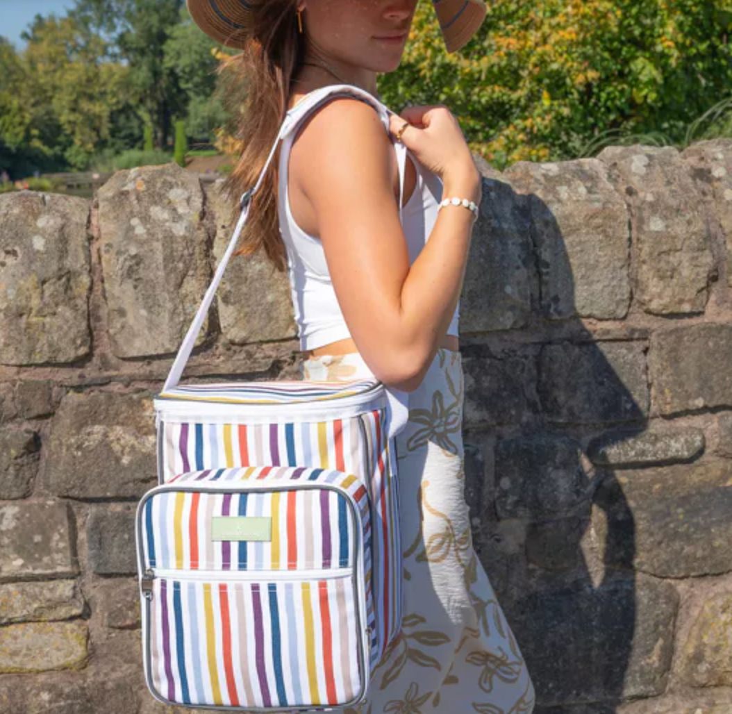 Country Living 4-Person Picnic Bag | Striped Family Picnic Set