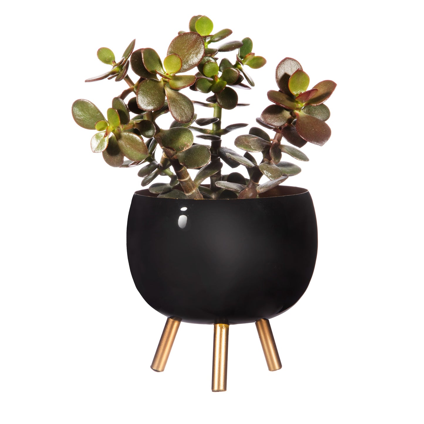 Black Metal Planter on Legs