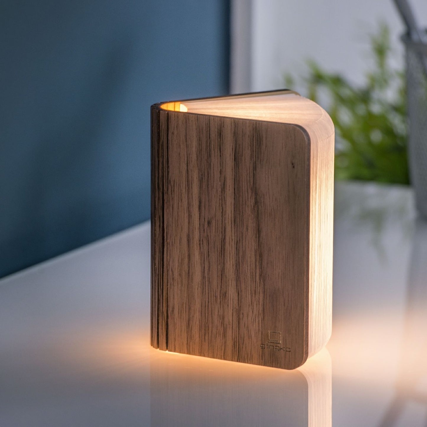 Walnut Smart Book Light