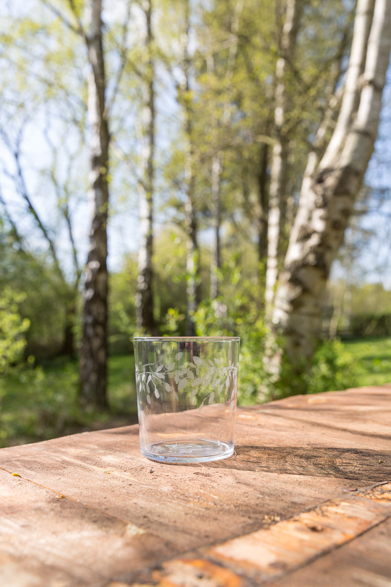 Silver Birch Tumbler