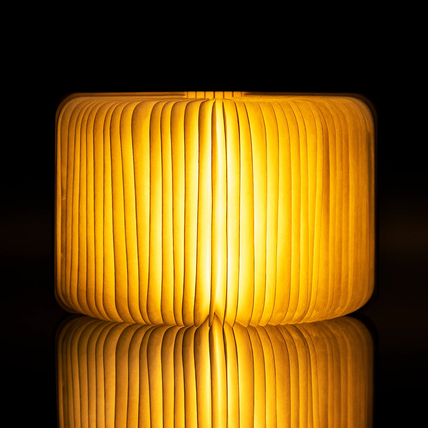 Walnut Smart Book Light