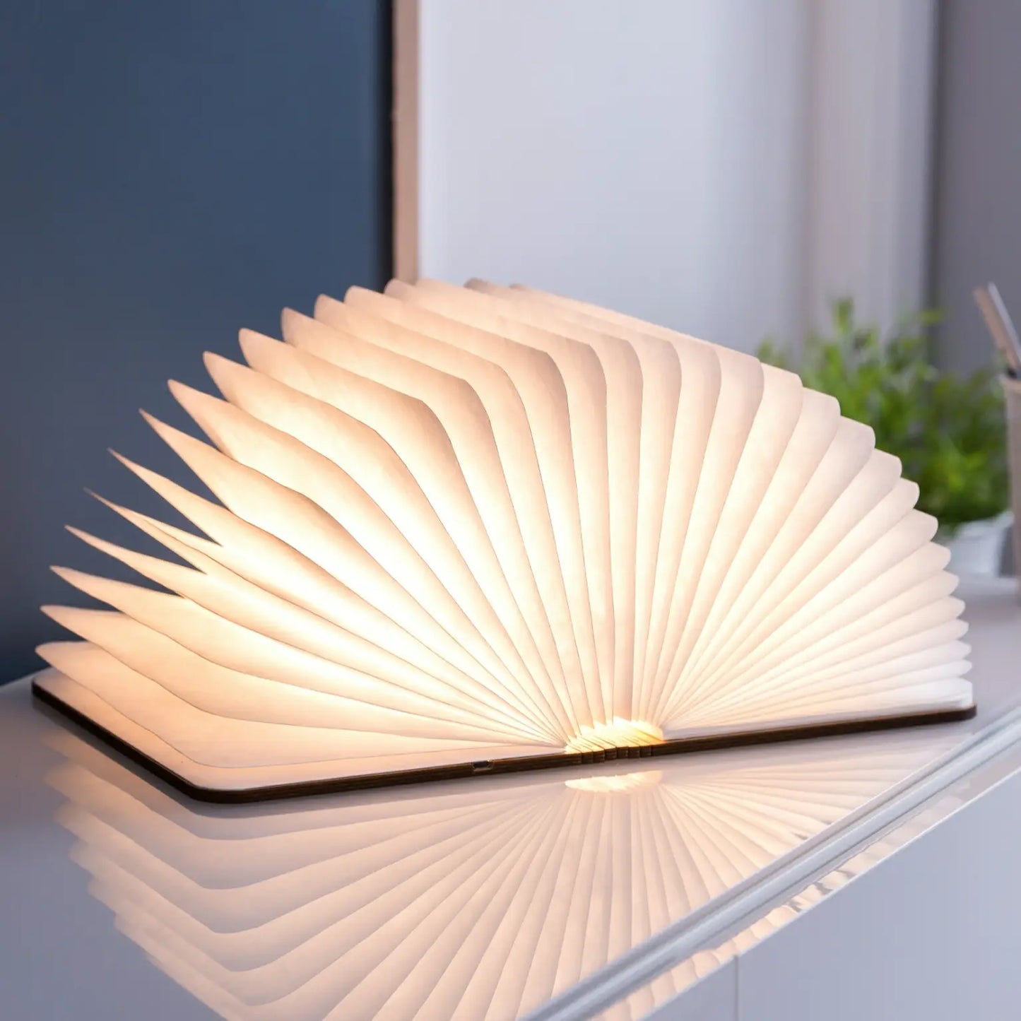 Walnut Smart Book Light