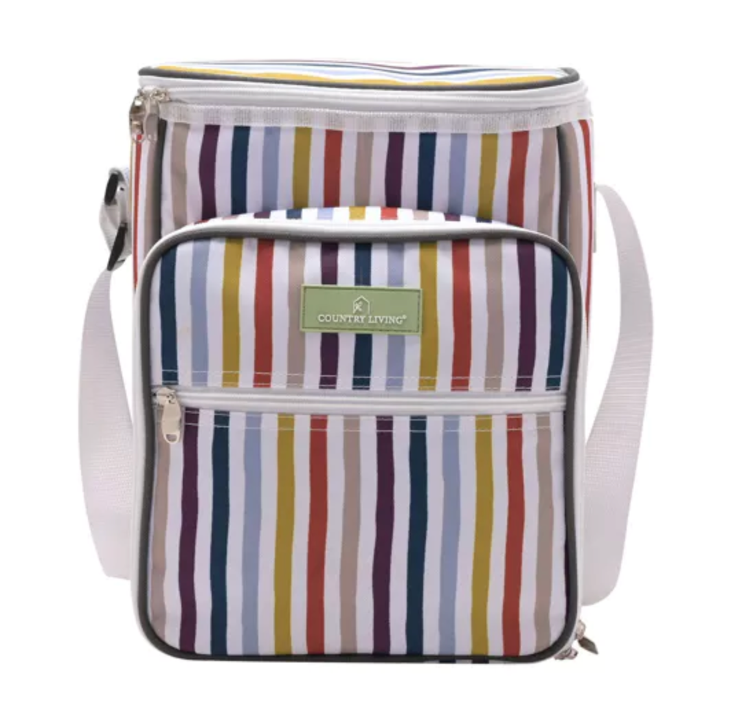 Country Living 4-Person Picnic Bag | Striped Family Picnic Set
