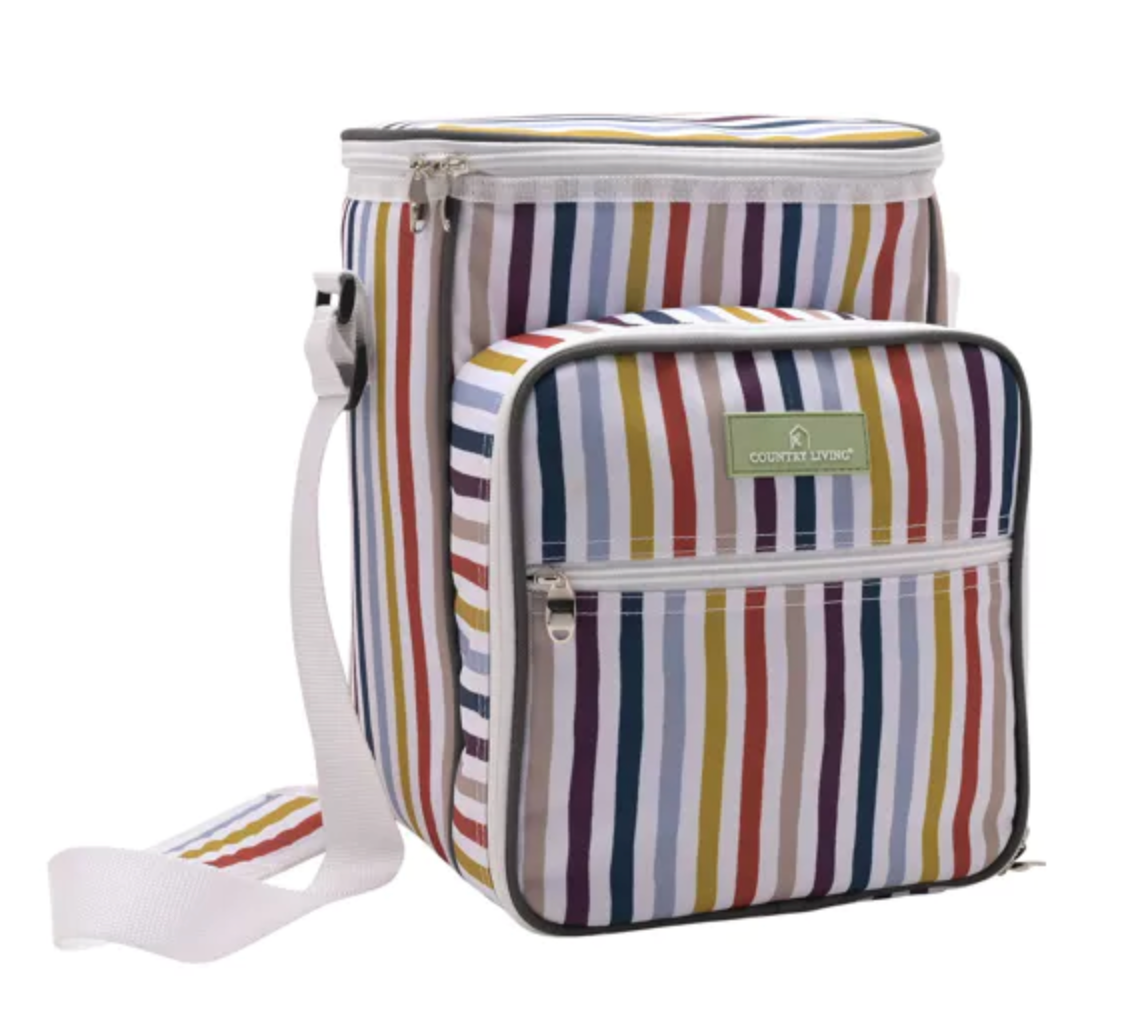 Country Living 4-Person Picnic Bag | Striped Family Picnic Set