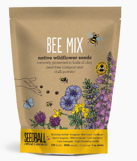 Seedball | Wildflower Bee Mix Grab Bag