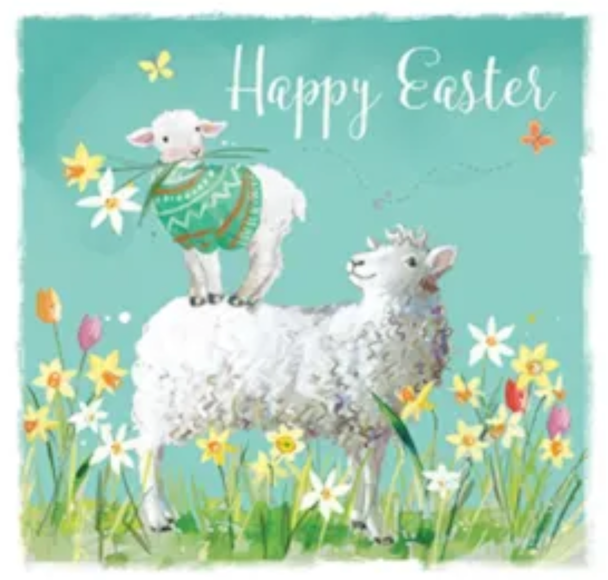 Easter Sheep & Lamb Card Pack | Pack of 5 Cards with Envelopes