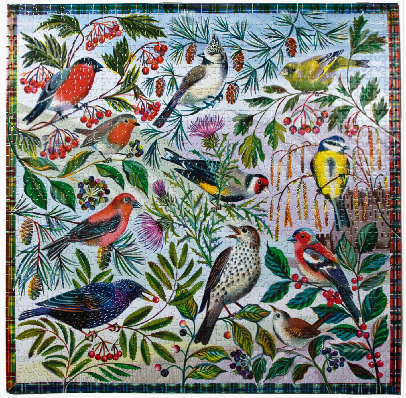 Eeboo 1000 Piece Jigsaw Puzzle | Birds of Scotland