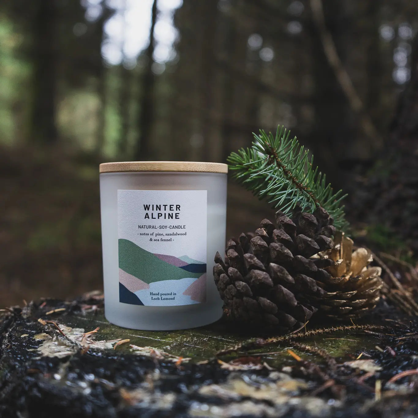 winter alpine scented candle sitting on a forest floor with an pinecone and fir sprig