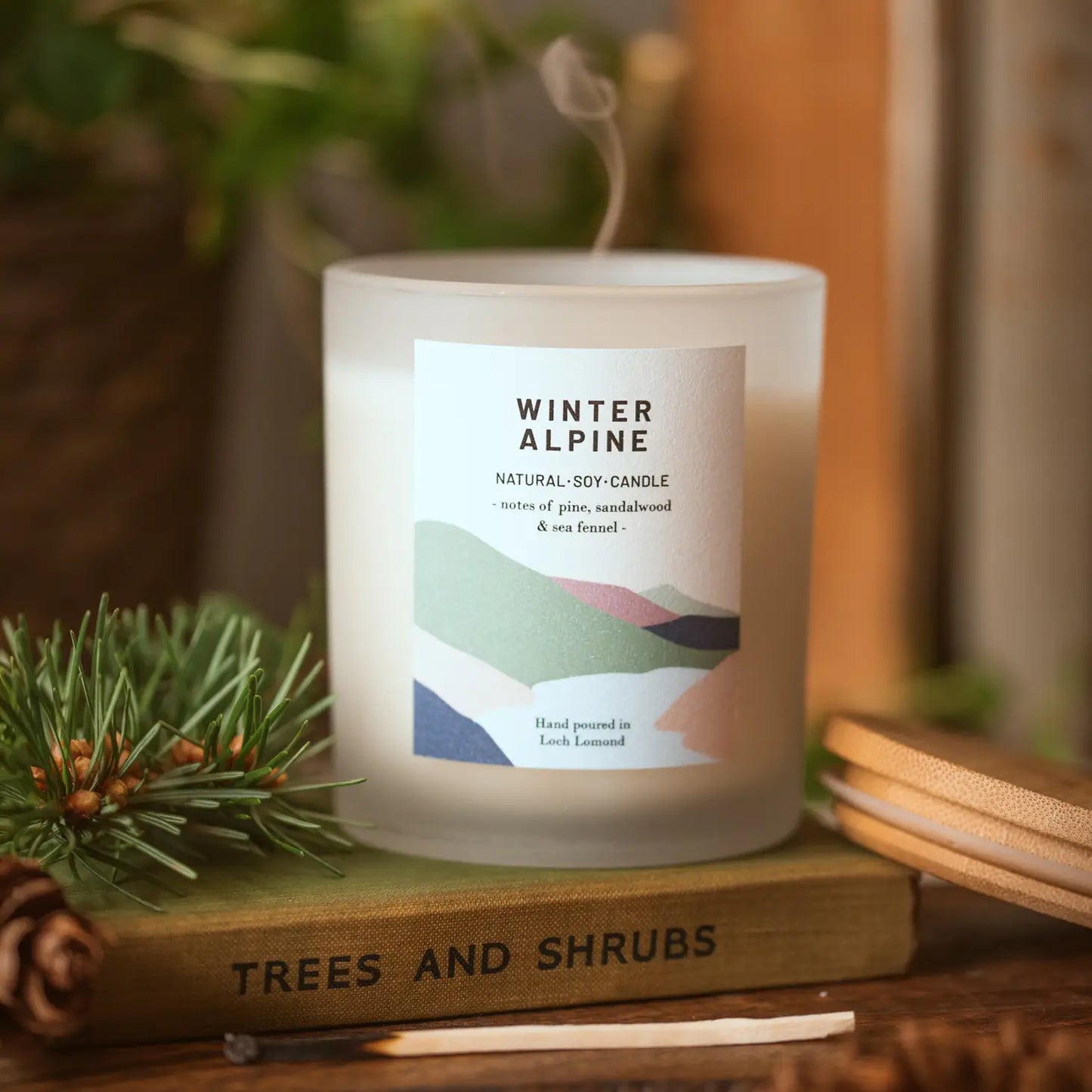 winter alpine scented candle sitting on a book with a a fir sprig 