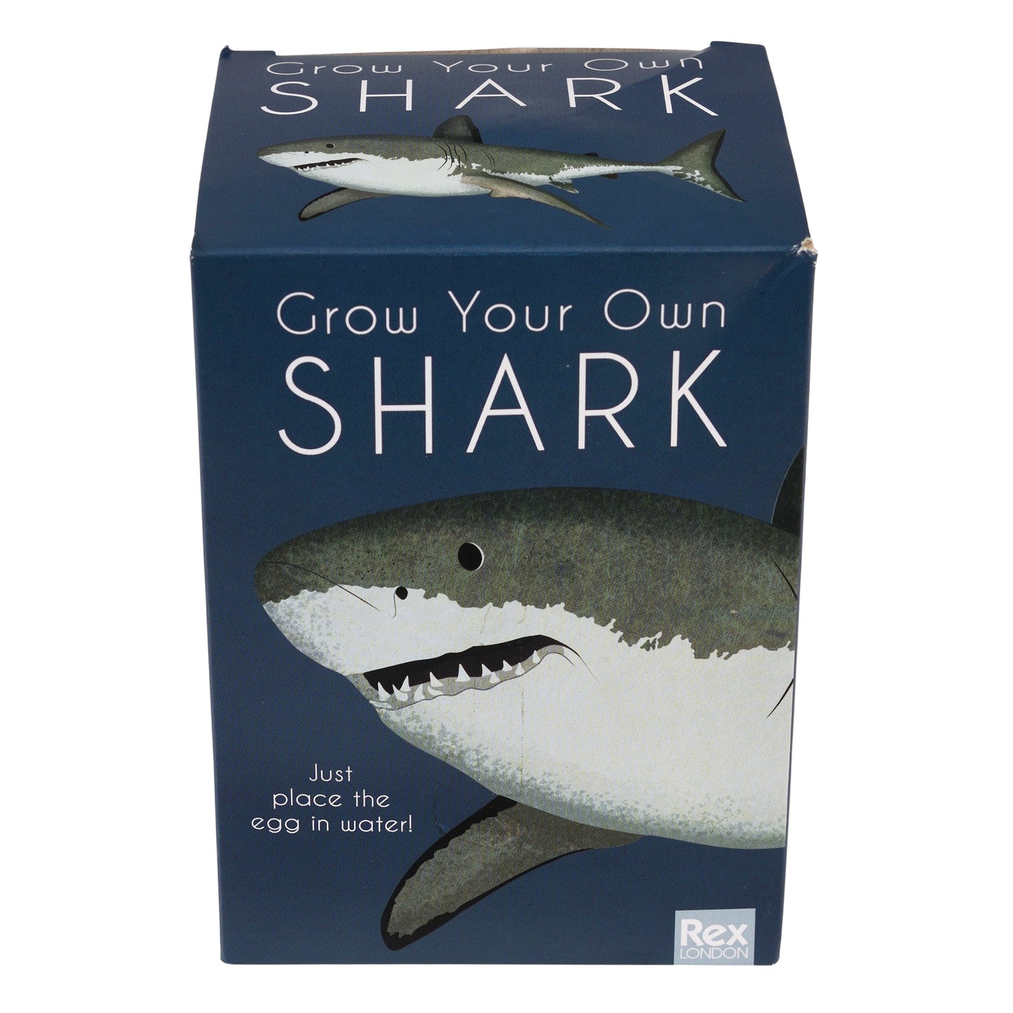 Grow Your Own Shark