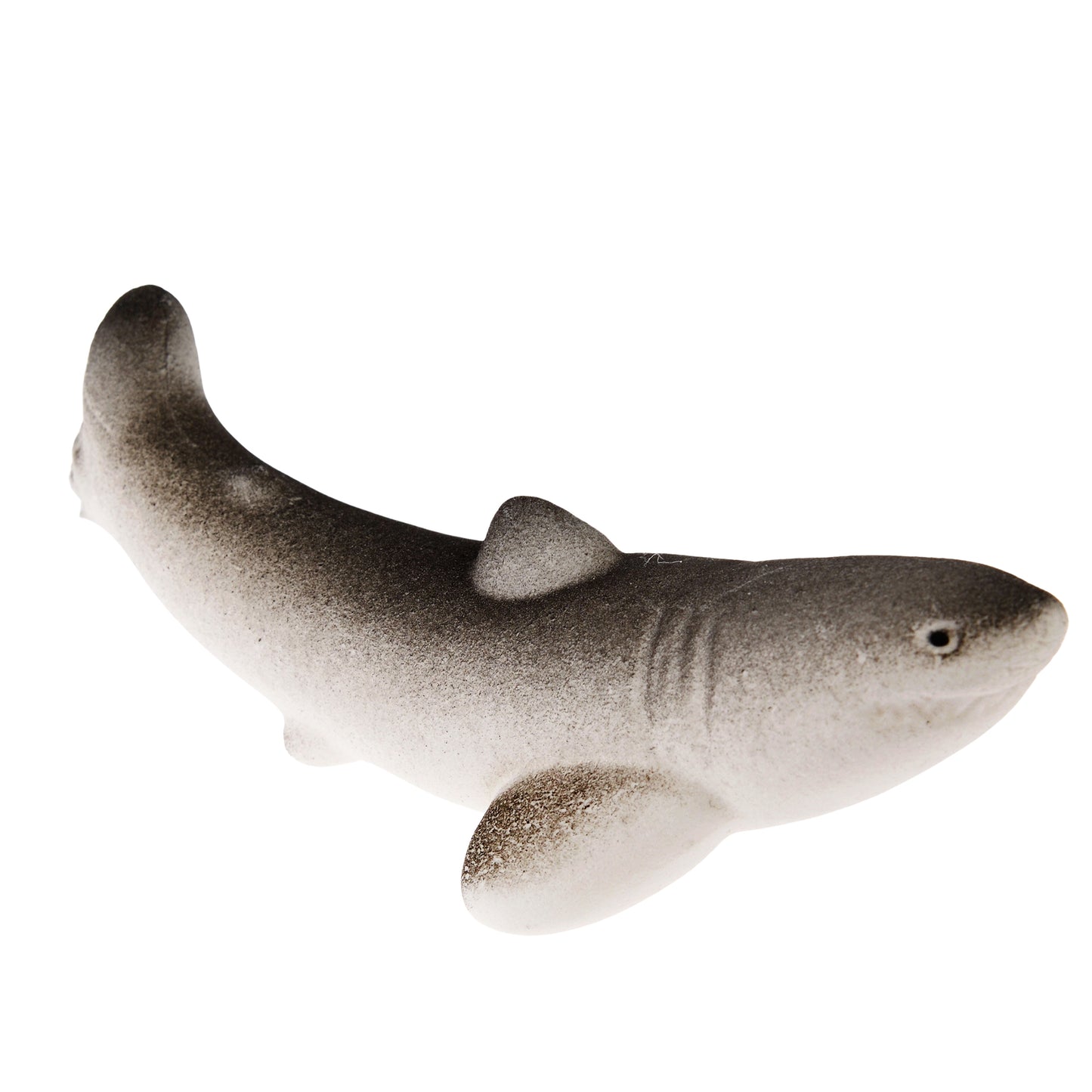 Grow Your Own Shark