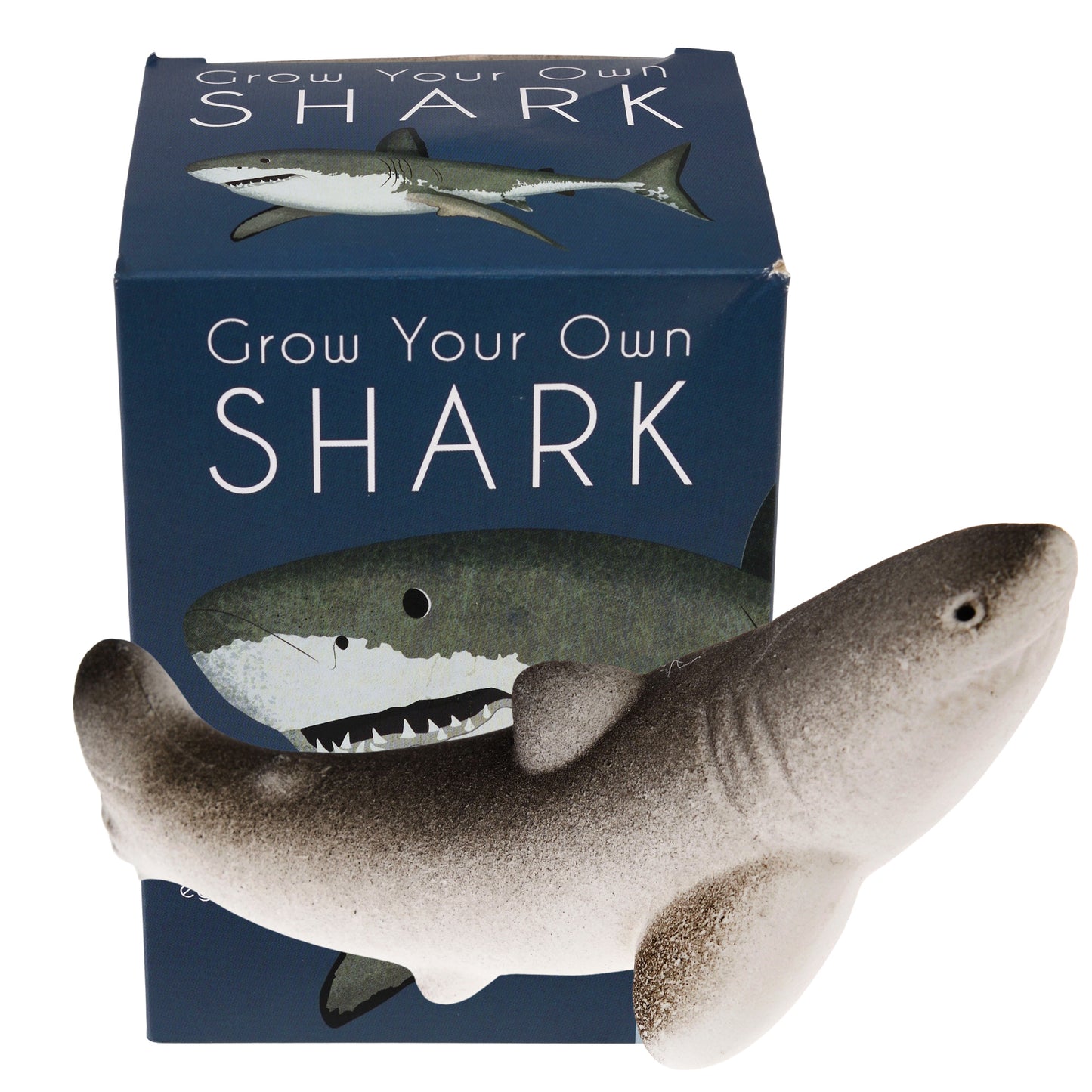 Grow Your Own Shark