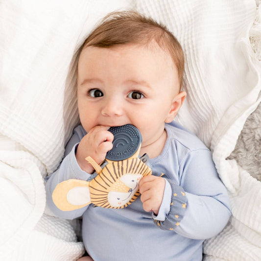 Handychew Teething Toy